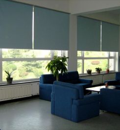 RÈM CUỐN LƯỚI CAO CẤP ECOSHAD- AMAZON